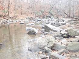 Cabin John Trail : r/DMVBikepackers