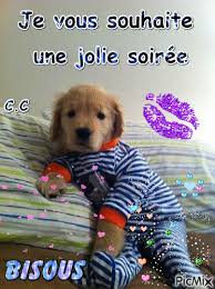 C'est une soirée pyjama qui va se finir par ; Chien En Pyjama Picmix