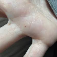 We did not find results for: No More Panic