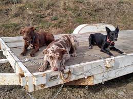 By blackholeposted on november 18, 2018september 25, 2019. Htomo Home