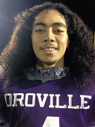 All-league teams for football, volleyball include several area athletes