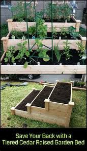 Cheap Raised Garden Bed Ideas Vegetable Garden Bed Ideas Garden Bed Design Ideas Raisedgardenbe Cedar Raised Garden Raised Garden Raised Vegetable Gardens