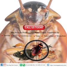 Is a full service termite and pest control management company dedicated to serving the needs of one stop pest & termite control's living proof of all of the above and more. One Stop Pest Control Posts Facebook