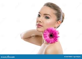 1,144 Perfect Gerber Stock Photos