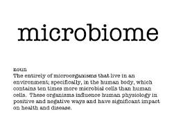 Pin Oleh Anxious Patients Di Microbiome