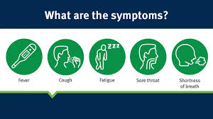 Vaccine stocks are expected to more than double in coming weeks. Coronavirus Covid 19 Everything You Need To Know In Language You Can Understand Queensland Health