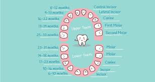 42 Reasonable Nine Month Old Milestones Chart