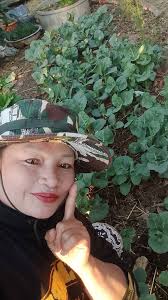 เอาดอกพุทธรักษาสวยๆมาทักทายทุกคนตอนตี 4 จ้า #ทักทายทุกคนนะคะ