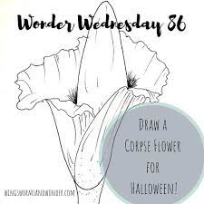 Celebrate The Spooky Creepy And Stinky In Your Nature Journal This Halloween Draw A Corpse Flower With Wings Worms Corpse Flower Nature Journal Flower Drawing