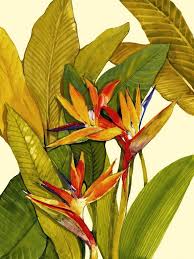 Bird Of Paradise Canvas Wall Art Tropical Bird Of Paradise Paradise Painting Birds Of Paradise Etsy Art Prints