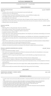 finance auditor resume sample mintresume