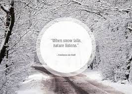 Pin On When Snow Falls Nature Listens