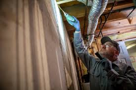 Professional & certified, 30+ years expertise. Do I Need Pest Control Inside My House Answers For Concerned Lehigh Valley Homeowners