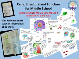 In this note, we discuss the various parts of the cell like the cell wall, nucleus etc with their function. Teaching Science With Lynda Fun Cell Parts And Function Activities For Middle School