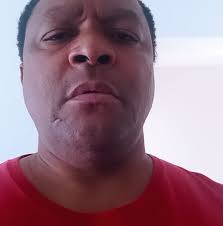 Rare reddish-orange snowy owl in Huron County, Michigan, captivates  birdwatchers 😍