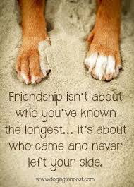 En Dit Is Nou Echt Waar Dog Quotes Love Dog Quotes Dog Poems