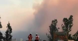 Por último, el incendio forestal hacienda las palmas 2 consume una superficie de 70,0 hectáreas de matorral, pino y eucalipto en la comuna de quilpué. Ytdovjs6fvqskm