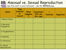 asexual vs sexual reproduction studyslide com