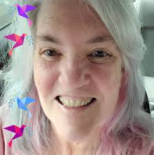 An alligator was spotted hiding beneath shopping carts outside a  supermarket in Summerville, South Carolina,