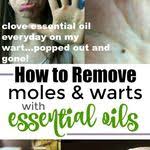 Pin On Roller Bottle Blends