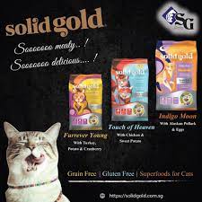God Sent Angels Down To Earth In Form Of Cats With Notes Saying Don T Judge Just Love We Threw The Notes And Just Expecte Food Animals Buy Pets Pet Food Shop