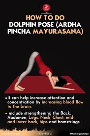 Ardha Pincha Mayurasana Dolphin Pose Benefits In 2021 Dolphin Pose Learn Yoga Poses Poses
