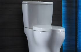 It uses around.8 gallons per flush which is half the requirement from the regulatory body. 10 Best Low Flow Toilets In Detail Reviews Jun 2021