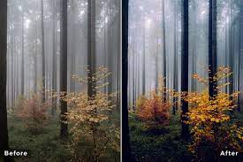 Premium lightroom & acr presets, photoshop actions, ebooks, and video courses for photography enthusiasts. Lightroom Presets For Forest Nature Photography Desktop Mobile