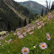 Darleen M. Miller Obituary