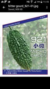 Fatman kapsul peria katak diformulasikan 100% ektrak peria katak. Leckat Seeds 10 Khasiat Peria Katak Peria Katak Atau Facebook