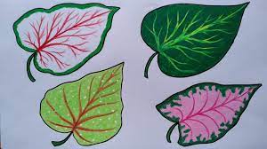 200 gambar mewarnai yang bagus mudah untuk anak anak. Menggambar Dan Mewarnai Gunung Meletus Menggambar Pemandangan Gunung Gambar Gunung Berapi Youtube