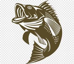 You can download (640x391) ikan vektor png png clip art for free. Largemouth Bass Bass Fishing Fishing Mammal Sports Smallmouth Bass Png Pngwing