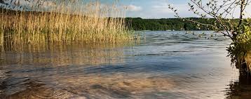6,986 likes · 365 talking about this · 2,836 were here. Bauen Und Wohnen In Der Uckermark Www Immobilien Journal De