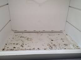 Mouldy Fridge Cleaning Tips
