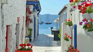 The camels are all fully grown bulls specially fed to increase their bulk further, and the sight of them wrestling one another would seem to promise some spectacular action. Sand Shore The Top Ten Bodrum Beaches You Need To See