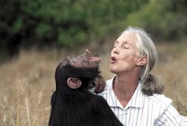 Happy 80th Birthday Jane Goodall: Inspirational Quotes from the ... via Relatably.com