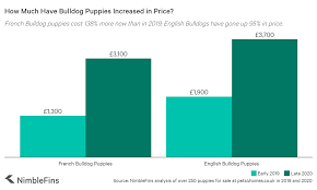 The average price of a french bulldog ranges from $1,500 to $8,000. Average Cost To Buy French And English Bulldog Puppies Nimblefins