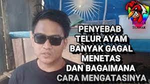 Check spelling or type a new query. Penyebab Telur Ayam Banyak Gagal Menetas Youtube