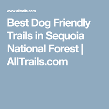 The tree, which measured 275 feet (84 m) tall and 21 feet (6.4 m) in diameter. Best Dog Friendly Trails In Sequoia National Forest Alltrails Com Zion National Park Shenandoah National Park National Parks