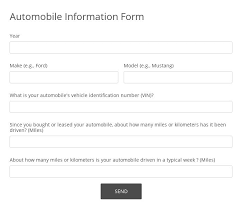 Court diagrams (usa, nba & fiba formats) full court formats (12) half court formats (18) combination formats (6) practice forms. Online Softball Tryout Evaluation Form Template 123 Form Builder