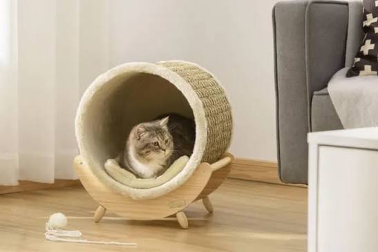 Cama para gato