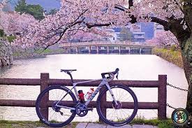 4月は自転車もほのかに桜色に染まります さすが桜の名所と言われる満開の桜に包まれた鳥取城跡です 久松公園 桜 canyon canyonbikes 今週の cyclography reposted by dorimogu s 2 bicycle moped