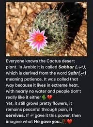 Sometimes the single word 'cactus' is used but it's generally recognised to be a. Wobbler Busters Dont Feel Down Smile Everyone Knows Facebook