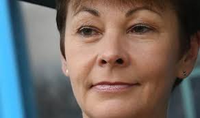 Caroline Lucas news: Green MP investigated for 'offering Commons tours for  donations'