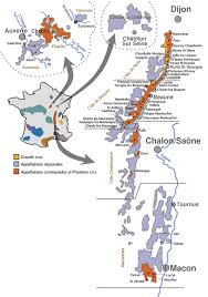 Epingle Sur Les Vignobles