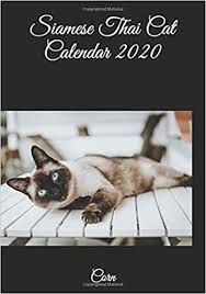 This fat cats 2020 wall calendar measures 12 x 12 inches closed and 12 x 24 inches opened. Siamese Thai Cat Calendar 2020 Corn 9798622676116 Amazon Com Books