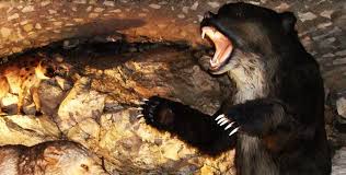 Miłosz parczewski (pum) w #rozmowarmf: Ostatni Niedzwiedz Jaskiniowy Wdolnymslasku Com