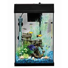 This is my review of the top fin bettaflo bf5 betta filter. Find Top Fin Bettaflo Relax Betta Aquarium 2 Gallon From Pet Smart And Get It At Your Door With Cornershop