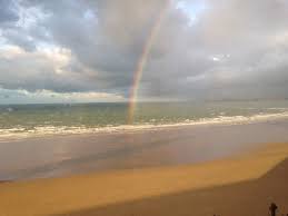 Achat en ligne de collecteurs d'eau de pluie dans un vaste choix sur la boutique jardin. Les Sables D Olonne Des Pluies Record A L Automne 2019 Le Journal Des Sables