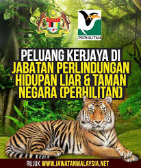 Ketua pengarah jabatan perlindungan hidupan liar dan taman negara (perhilitan) abdul kadir abu hashim berkata, haiwan dalam kategori itu, termaktub di bawah jadual kedua akta pemuliharaan hidupan liar 2010 (akta 716). Bangsa Johor Rasmi Jabatan Perlindungan Hidupan Liar Facebook